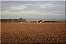 SE9402 : Seed drilling at Newlands by Richard Croft