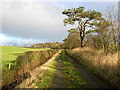 Track Near Craigrethill