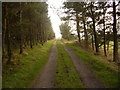 Public footpath approaching Long Edge