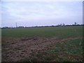 Field near Bazeland Farm