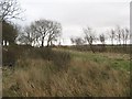 Waste ground, Springhill