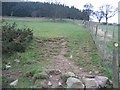 Footpath to Moel Evan