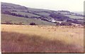 Farmland near Shipton Gorge