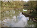 River Mole from Boxhill Bridge