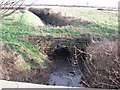 Old Bridge over The Foss, The Avenue, Wighill, North Yorkshire