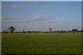 Open farmland at Brettenham