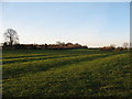 Ridge and furrow at Great Thirkleby