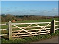 Gate to Field