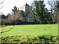 View of Northbourne Church across the recreation ground