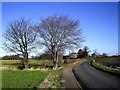 Giddygate Lane and Moorfield House, Melling