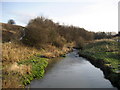 River Don, Boldon Colliery