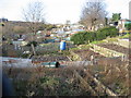 Allotments off Springwell Road