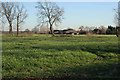 Farmland at Sunnyside Farm