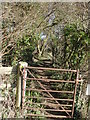 ST9606 : Footpath Gate by Brian Ironside