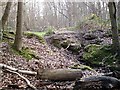 Below the dam, Coombe Wood pond