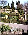 Terraced garden, Vicarage Hill, Benfleet