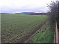 A Field and a Wrekin