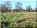 Footpath by Oakhanger Stream