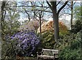 Calderstones Park, Old English Garden