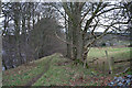 Old lane to Ardtannes Farm.