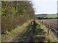 Bridleway towards Rendezvous Plantation