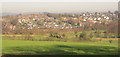 Housing at New Alresford seen from Wayfarer