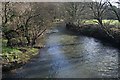 The River Tamar