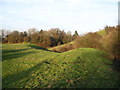 SP4379 : Motte and bailey, Brinklow by E Gammie
