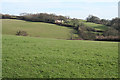 Exbourne: between the village and Lower Narracott