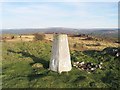 Trig pillar on Mynydd Llangyndeyrn