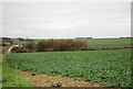 Farmland between Field and Middle Dairies