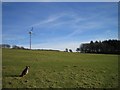 Wind Turbine, Pinkery Farm