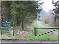 Woodland track, Park Wood