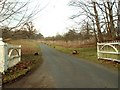 Driveway to Glevering Hall