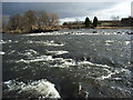 The River Forth