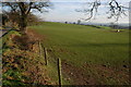 Gipsy Lane near Blakeshall