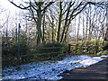 Footpath and Gate Entrance