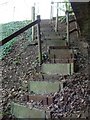 Steps into the Nature reserve