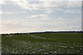 Flat fields at Blackhillie