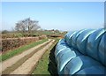 Silage storage near Westacombe