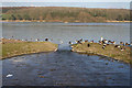 Outflow at Thornton Reservoir