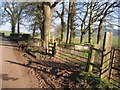 Footpath East from Utkinton Lane