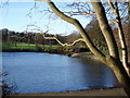 Lake in Beveridge Park, Kirkcaldy