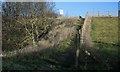 Fence and Footpath