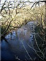 The River Nethan at Auchlochan