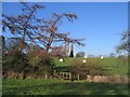 Footpath to Brook Hall