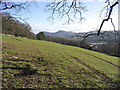 Pasture field at Crotchetknowe