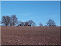 Barn on the brow of the hill