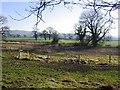 Footpath from Burwardsley Road to Dark Lane #3