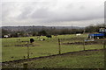 Smallholding at Lambs Green